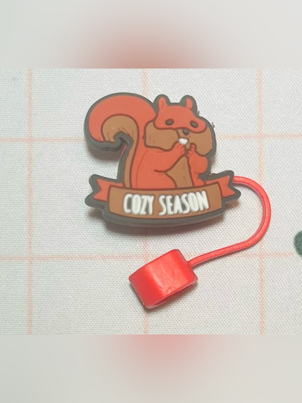 🍂🐿️ Fall Squirrel Straw Topper/ Cover Cap 🍂🐿️